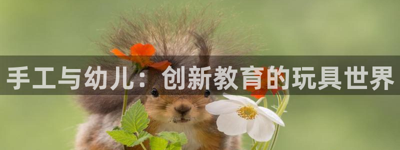 fb体育平台是正规平台吗知乎:手工与幼儿:创新教育的玩具世界