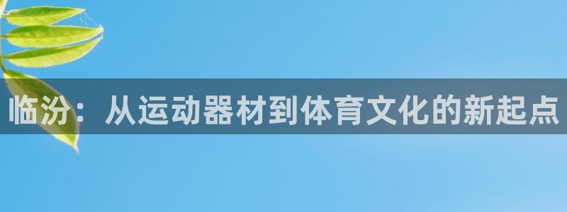 fb体育娱乐是那个系列的台子:临汾:从运动器材到体育文化的新
