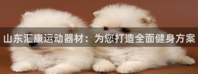 fb体育娱乐40996:山东汇康运动器材:为您打造全面健身方